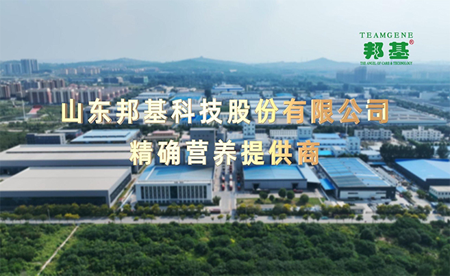 山东AG贵宾厅科技股份有限公司官方网站